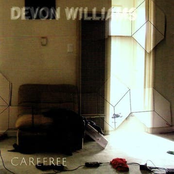 cd - Devon Williams - Carefree, Verzenden, Zo goed als nieuw