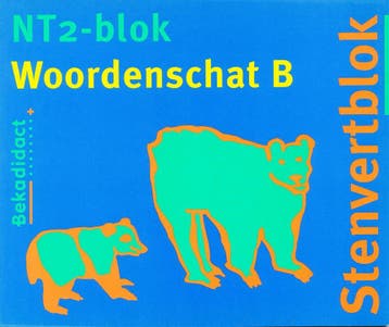 Stenvert NT2-blok woordenschat B (per stuk), Verzenden, Nieuw