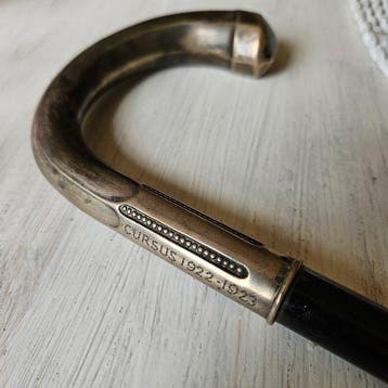 Wandelstok - Hout - Met zilver handvat