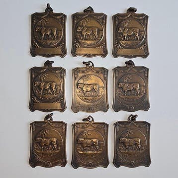 Nederland. 9 stuks Prijspenningen Fokdag Sittard 1931 &
