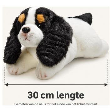 King Charles Spaniel knuffel 30 cm - zacht pluche, Verzenden, Nieuw