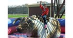 Goedkoop een Rodeostier huren vanaf €120,- per dag, Hobby en Vrije tijd, Feestartikelen | Verhuur, Nieuw