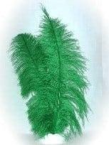 Spadonis groen, Kleding | Dames, Carnavalskleding en Feestkleding, Ophalen of Verzenden, Nieuw