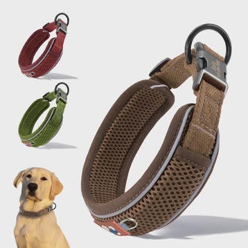 Gepersonaliseerde Hondenhalsband - Ademend Mesh, Reflecteren, Verzenden, Nieuw