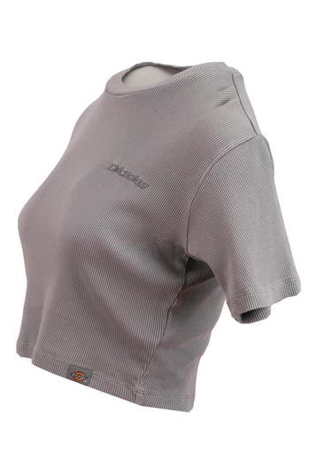Dickies T-shirt in maat S Blauw, Kleding | Dames, T-shirts, Dickies, Verzenden, Zo goed als nieuw, Blauw