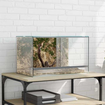 vidaXL Terrarium met opslag Transparant 50 x 30 x 30 cm Glas, Verzenden, Nieuw