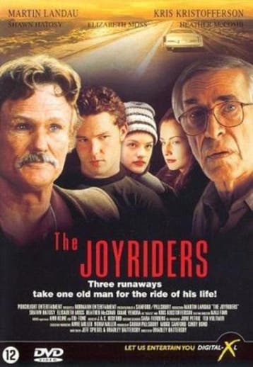 The Joyriders - DVD (Films (Geen Games)), Cd's en Dvd's, Ophalen of Verzenden, Zo goed als nieuw