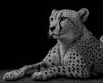 Aiana Roz - The Feline - Giclée on Canvas - Limited Edition
