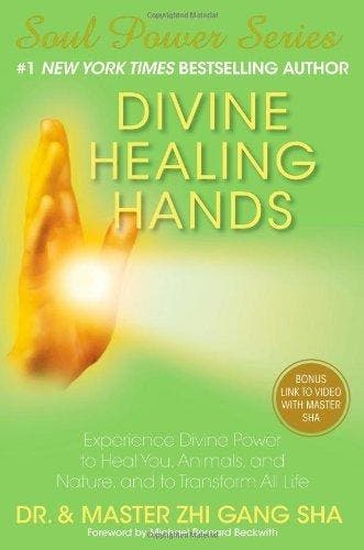 Divine Healing Hands - Zhi Gang Sha 9781476714424, Verzenden, Gelezen, Zhi Gang Sha
