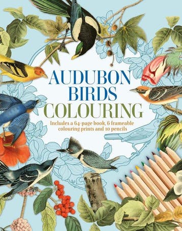 9781398848108 Arcturus Colouring Kits - Audubon Birds Col..., Verzenden, Nieuw, Peter Gray