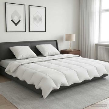 vidaXL 90% ganzen dons dekbedset FULDA 3 st 220 x 240 cm, Verzenden, Nieuw, Wit