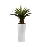 Agave Vetplant kunstplant, H105cm, Ophalen of Verzenden, Overige soorten, 100 tot 150 cm
