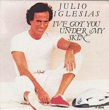 Single vinyl / 7 inch - Julio Iglesias - Ive Got You Und..., Verzenden, Zo goed als nieuw, 7 inch, Pop