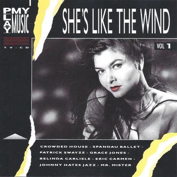 cd - Various - Play My Music Vol 1 - Shes Like The Wind, Verzenden, Zo goed als nieuw