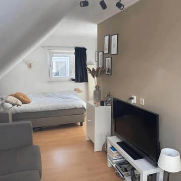 Kamer in Tilburg gevonden voor €500,- pm, Huizen en Kamers, Huizen te huur, Tilburg, Noord-Brabant, Direct bij eigenaar, (Studenten)kamer