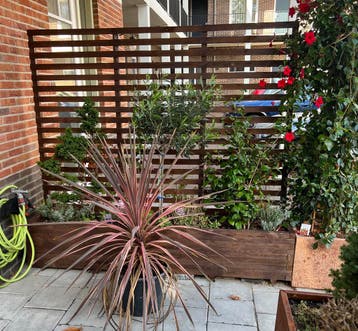 Prettige plantenbakken met klimrekken! Volume korting 20%!, 100 cm of meer, Nieuw, Ophalen of Verzenden, Balkon