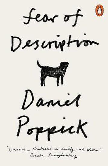 Fear of Description - Daniel Poppick 9780141992679, Verzenden, Gelezen, Daniel Poppick
