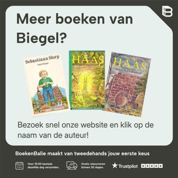 TWAALF SLOEG DE KLOK - Biegel 9789025102524, Verzenden, Gelezen, Biegel