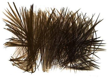 Hans Hartung (1904-1989) - L 108, Antiek en Kunst