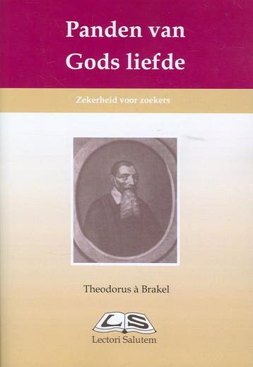 Panden van Gods liefde 9789076973005, Boeken, Verzenden, Zo goed als nieuw, Theodorus Gerardus à Brakel
