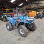 Quad Polaris, D-bat 400 4x4, bouwjaar 1998, Motoren, Quads en Trikes