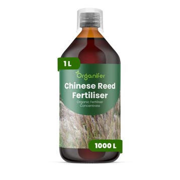 Chinees riet Vloeibare meststof - 1 liter, Verzenden, Mest