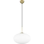 LED Hanglamp - Hangverlichting - Trion Ferdi - E27 Fitting -, Ophalen of Verzenden, Nieuw, Metaal