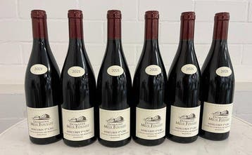 2023 Domaine du Meix Foulot Clos du Chateau de Montaigu -, Nieuw