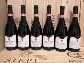 2019 Torgiano Rosso Spirito della Vite Tenute Baldo -, Nieuw