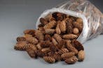 Spruce Dennenappel Spar 5 kilo, Ophalen of Verzenden, Nieuw