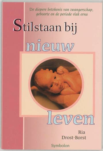 Stilstaan bij nieuw leven - R. Drost-Borst 9789074899871, Boeken, Verzenden, Gelezen, R. Drost-Borst
