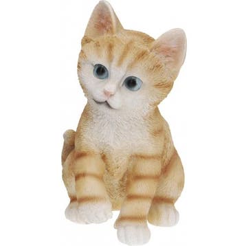 Zittende katten beeldje oranje 19 cm - Beeldjes, Verzenden, Nieuw