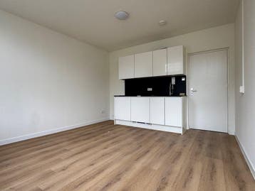 Te huur: Kamer W.A. Scholtenstraat in Groningen, Groningen