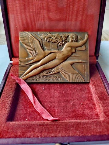 Frankrijk. Médaille Art Deco en bronze Aviation par R.