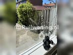 Papendrecht huis te ruil voor jouw woning in Tilburg omgevig