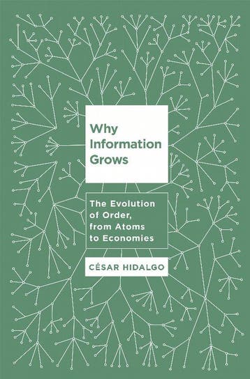 Why Information Grows - Csar Hidalgo 9780465048991, Verzenden, Zo goed als nieuw, Csar Hidalgo