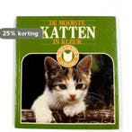Mooiste katten in kleur 9789062484294, Verzenden, Gelezen