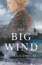 The Big Wind 9781786695543 Beatrice Coogan, Boeken, Verzenden, Zo goed als nieuw, Beatrice Coogan