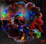 FANO (XX - Ombres chromatique, Antiek en Kunst