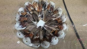 Vogeltjes Donkerbruin natuurlijk 9 cm 16 stuks, Ophalen of Verzenden, Nieuw