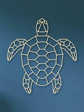 Geometrische Schildpad (dieren), Ophalen of Verzenden, Nieuw