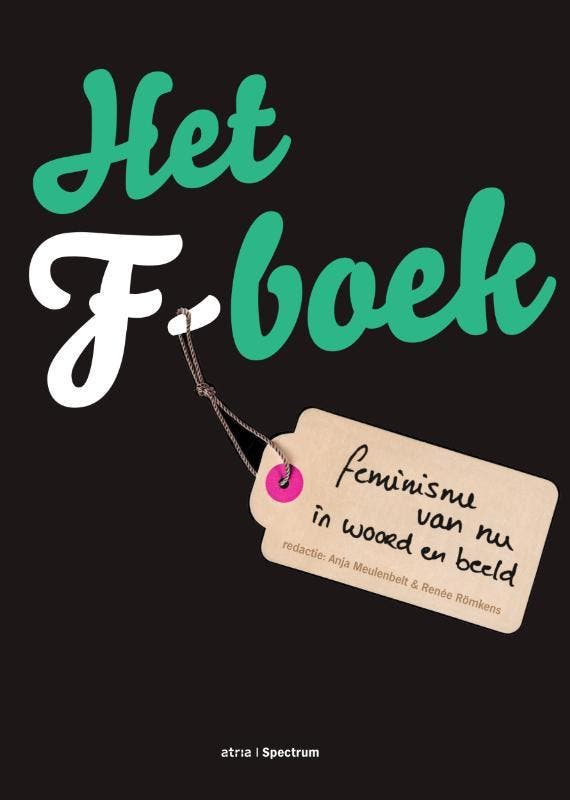 Het F-boek 9789000345021 Anja Meulenbelt, Boeken, Politiek en Maatschappij, Gelezen, Verzenden