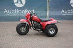 Veiling: Quad Kawasaki 185 Benzine, Motoren, Overig