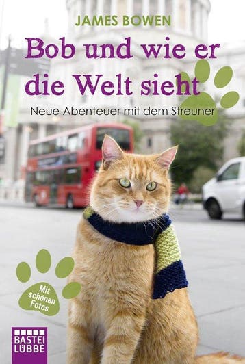 Bob und wie er die Welt sieht 9783404608027 James Bowen, Verzenden, Zo goed als nieuw, James Bowen