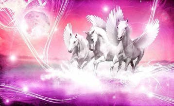 Paarden fotobehang L Pegasus roze Paarden behang *Muurdeco4, Ophalen of Verzenden
