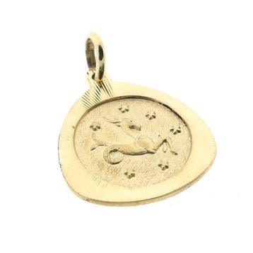 Gouden sterrenbeeld hanger; Steenbok (Hanger of bedel), Ophalen of Verzenden, Gebruikt, Goud, Overige merken