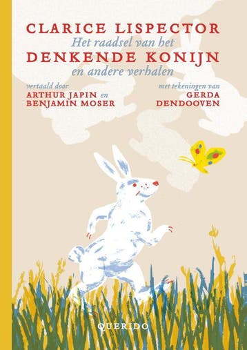 Het raadsel van het denkende konijn en andere verhalen, Boeken, Verzenden, Zo goed als nieuw, Clarice Lispector