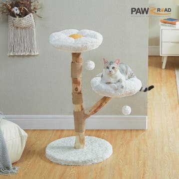 Moderne Bloemen Kattenboom - Houten Krabpaal met 2 Zachte Zi, Dieren en Toebehoren, Verzenden, Nieuw