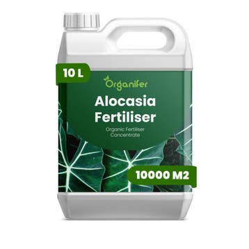 Alocasia Vloeibare Meststof - 10 Liter, Verzenden, Mest