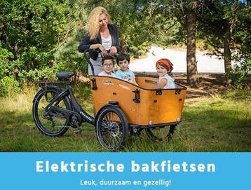 Elektrische bakfiets bakfietsen NU UIT VOORRAAD LEVERBAAR, Overige merken, 4 kinderen of meer, Huif, Nieuw